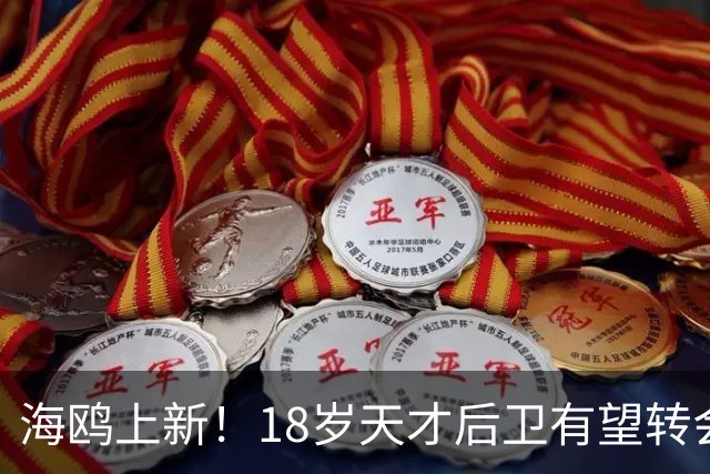 海鸥上新！18岁天才后卫有望转会英格兰，天赋顶级布莱顿要买